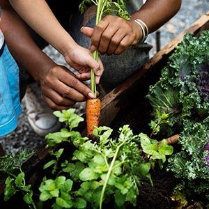 Article1.1_0002_1.1e